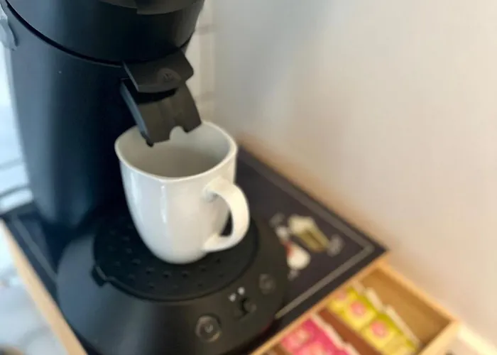 Primebnb Schneeberg * 빌링겐